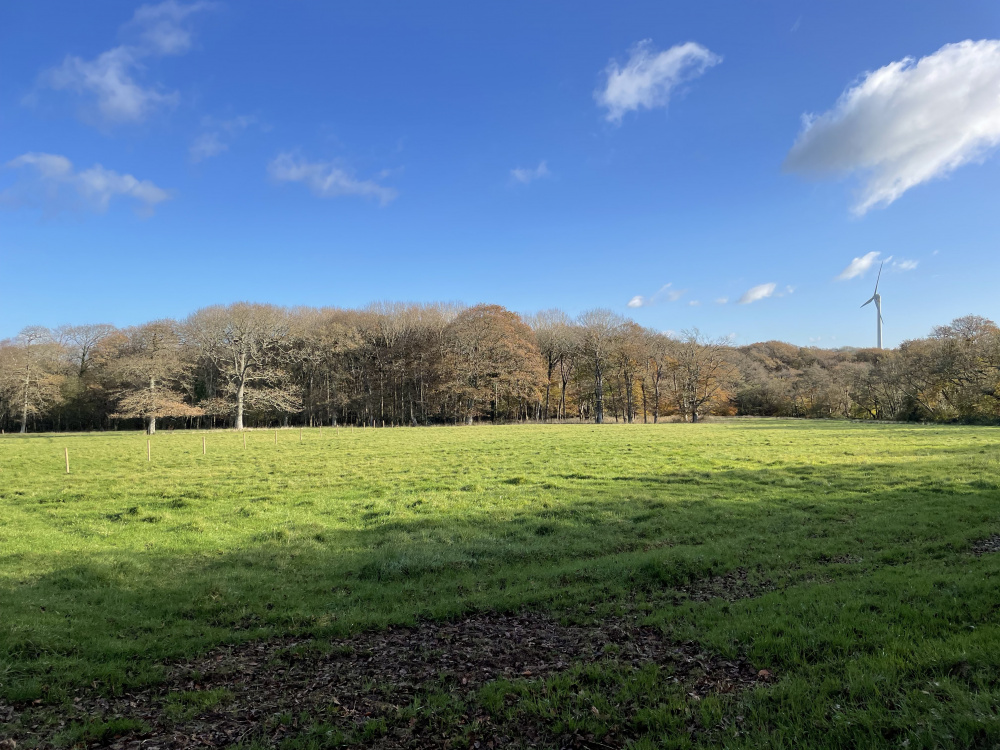 Pelham Meadow lies in an idyllic corner of North Devon