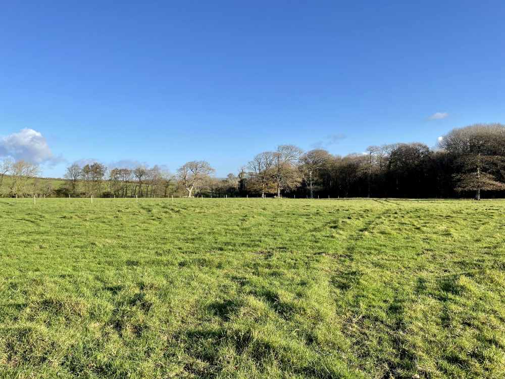 Blue skies over Rill Meadow