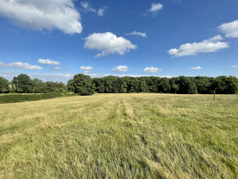 Roseway Meadow has a terrific balance of open meadowland and woodland at the bottom