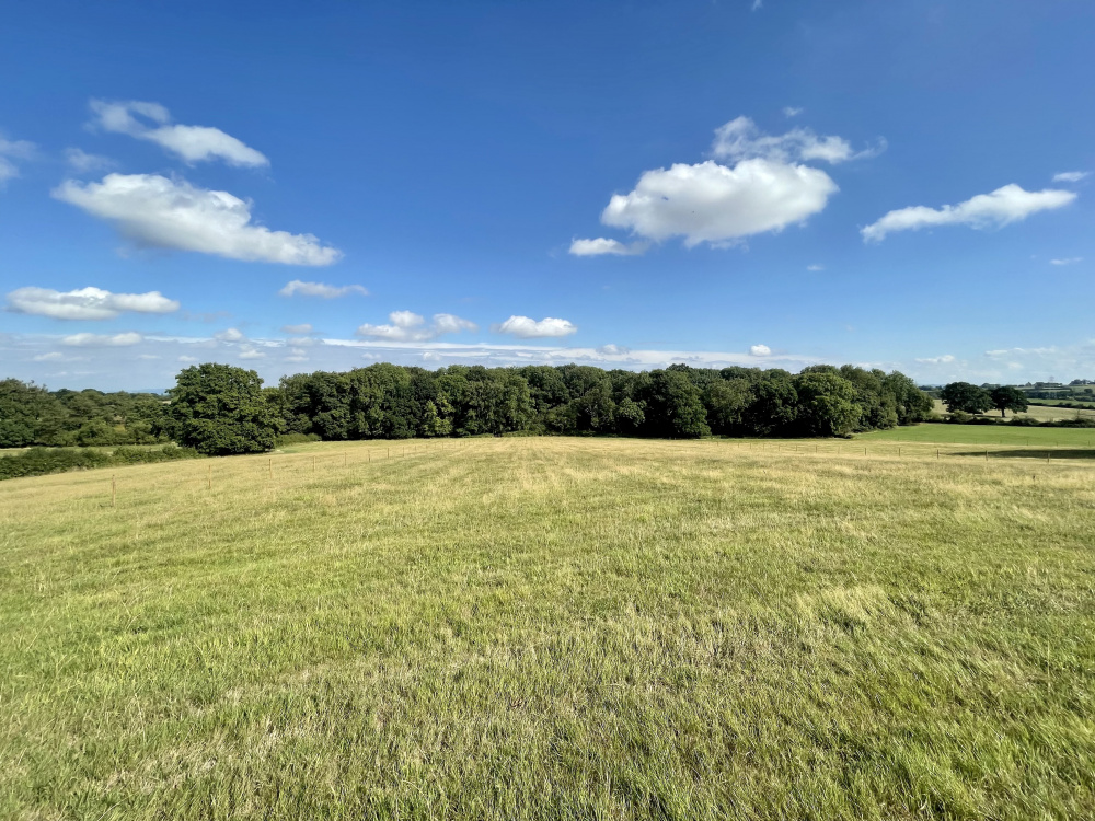 A splendid vista of meadow and woodland