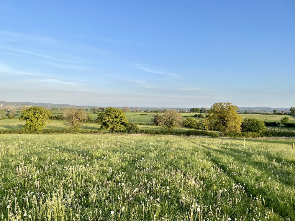 The elevated position at the top of Yale Meadow offers wonderful views to the south