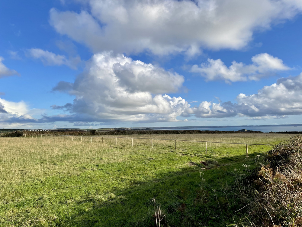 Looking out to St Brides Bay from the land