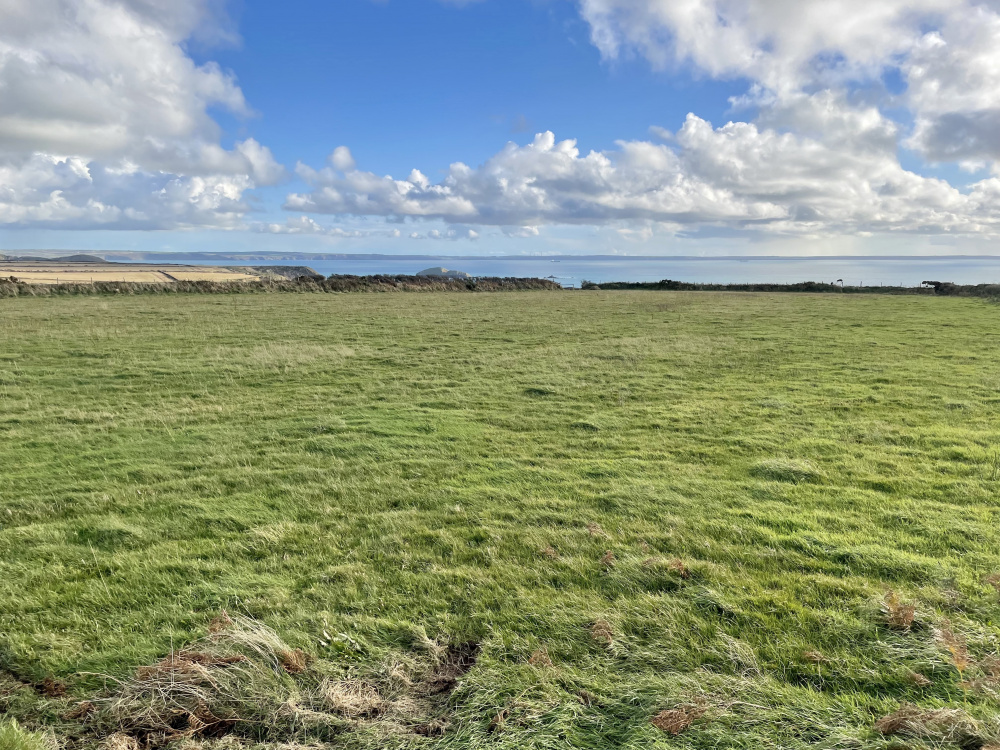 Views across St Brides Bay from the southern boundary