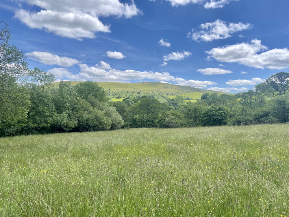 Fishpool Meadow with the Shropshire Hills in the background