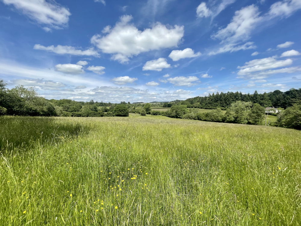 The meadow is in a stunning setting on the edge of the Shropshire Hills