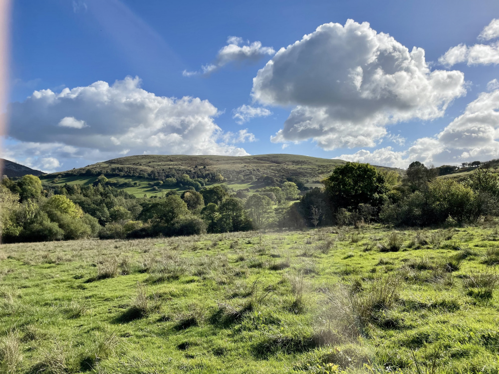 The meadow is framed by The Shropshire Hills