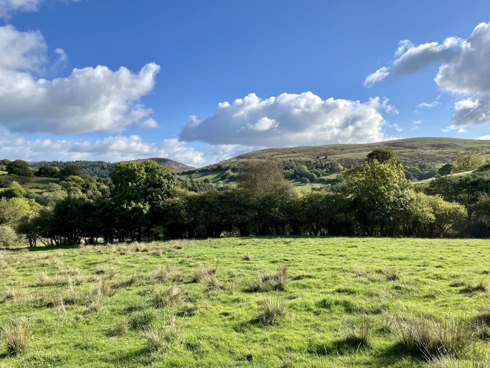 Onny Meadow with the Shropshire Hills in the background