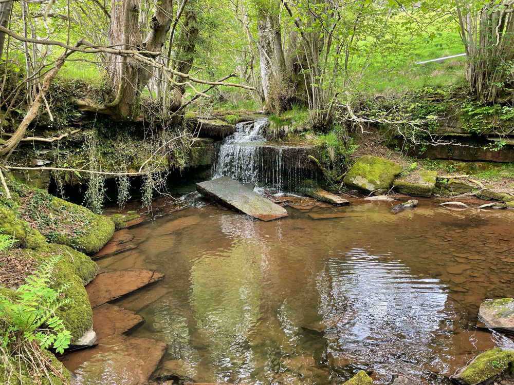 The meadow comes with ownership of a section of the River Monnow, including an amazing waterfall