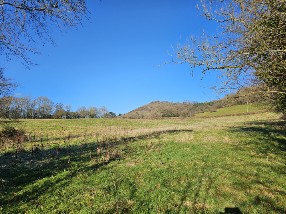 Blue skies over Pleck Meadow