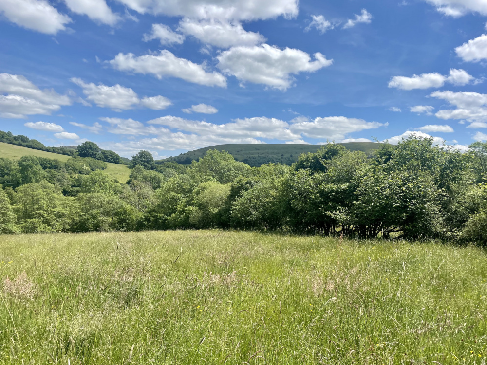 The shropshire hills frame the meadow