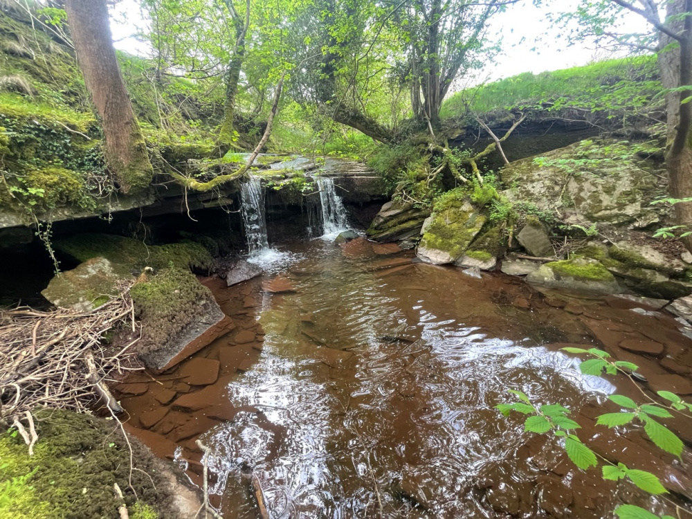 The meadow comes with full ownership of a section of The River Monnow, including this waterfall and pool