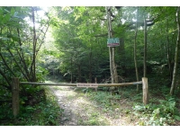 Beechbank Wood - SOLD