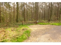 Brightstone Wood - SOLD
