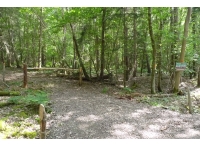 Byre Wood - SOLD