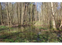 Cart Wood - SOLD