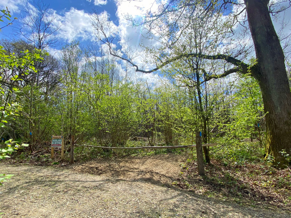 The ride stop entrance to Clydesdale Wood