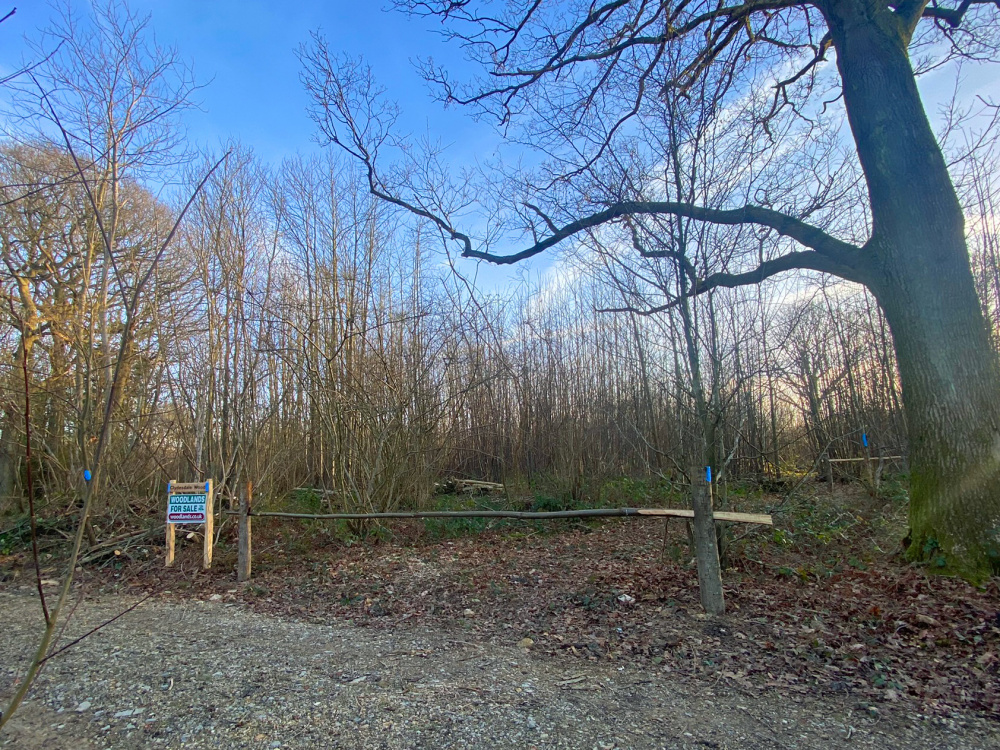 The ride stop entrance to Clydesdale Wood