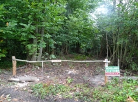 Finch Wood - SOLD