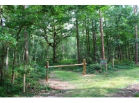 Gauntlet Wood