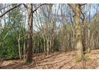 Grapple Wood - SOLD
