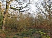 Lower Moorcroft Wood - SOLD