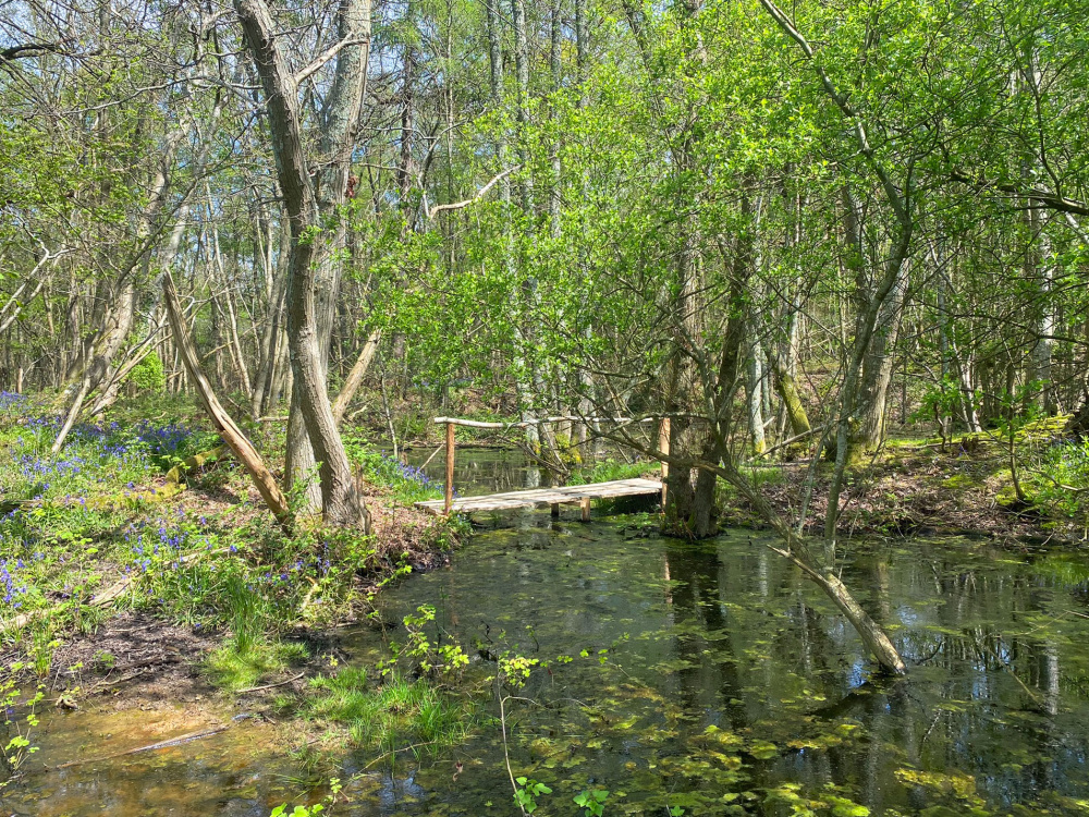 A footbridge across to one of the ponds
