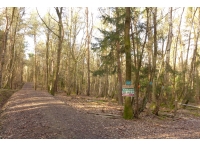 Shippen Wood - SOLD
