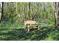 Sowdens Gate Wood