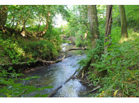 Trinity Wood - SOLD