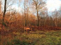 Uphill Wood - SOLD