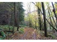 Waggon Wood - SOLD