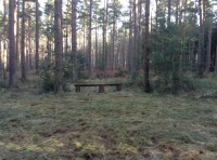Aydon Wood - SOLD