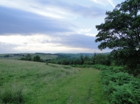 Benantrae Wood - SOLD
