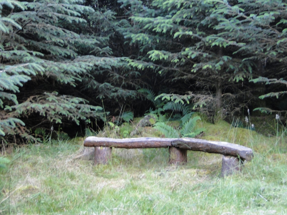 Track along eastern boundary