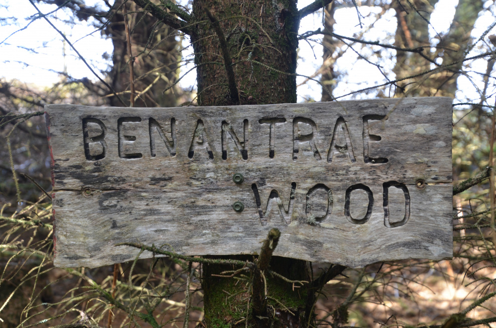 Benantrae Wood