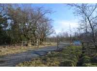 Boam Wood - SOLD