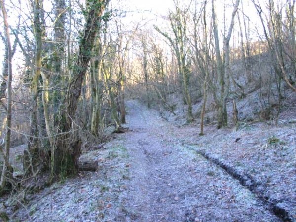 Path along riverbank