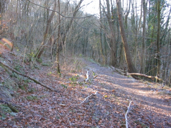Excellent access to river