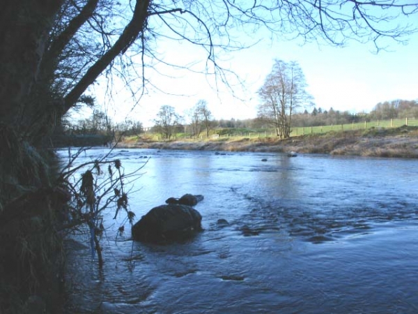 River Ayre