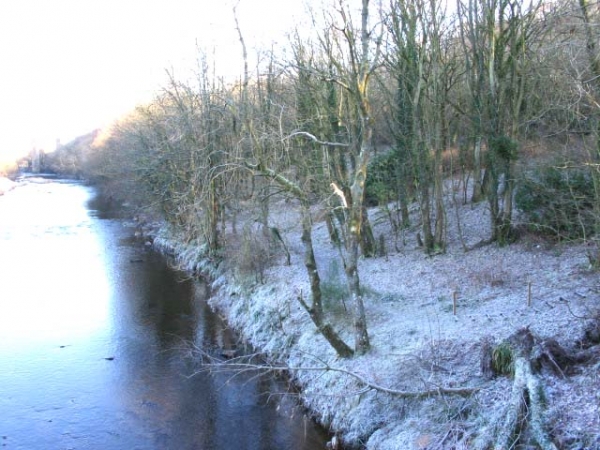 Looking back into the Brade Wood from the far boundary