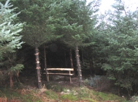 Herriot Wood - SOLD