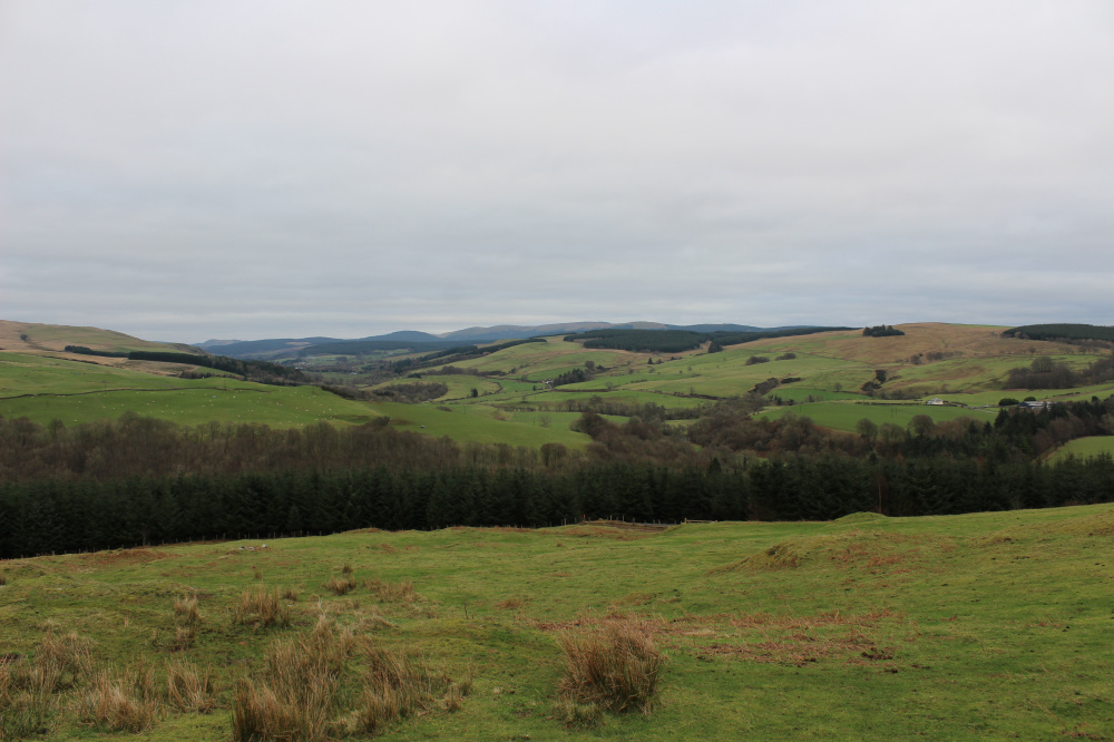 Laggan Wood and Stinchar Valley