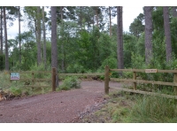 Lees Wood - SOLD