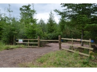 Lye Wood - SOLD