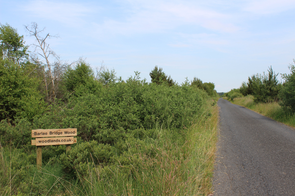 Barlae Bridge Wood is on the left