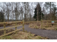 Smiddy Wood - SOLD