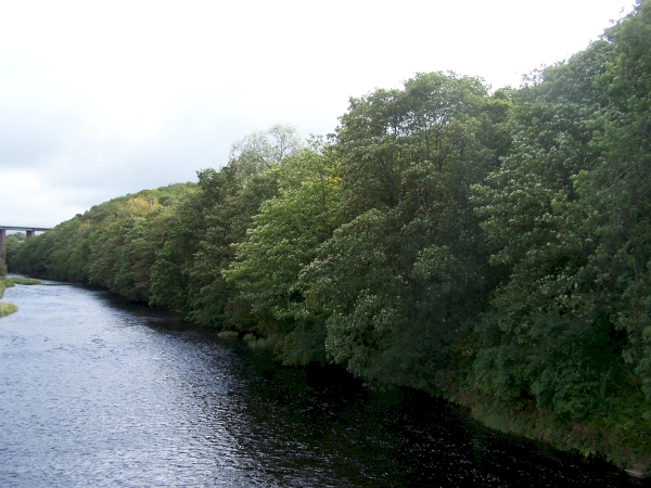 Enterkine Viaduct