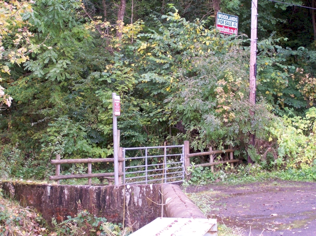 Steele Brig Wood