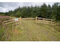 Teviotdale Wood - SOLD