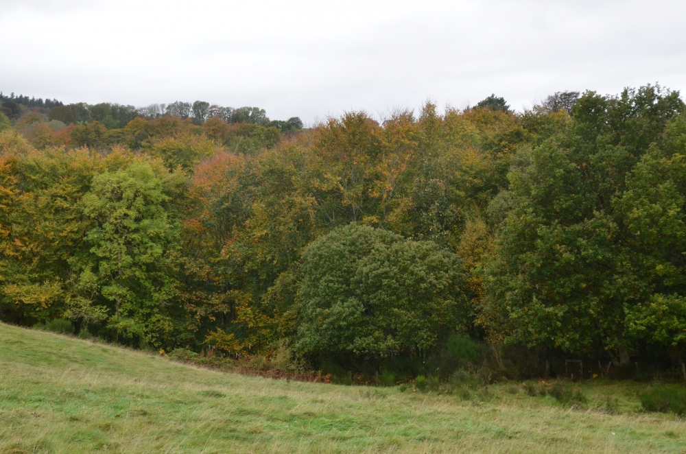 Towerburn canopy